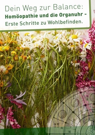 Dein Weg zur Balance Homöopathie und die Organuhr – Erste Schritte zu Wohlbefinden